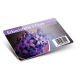 Card plastiche con codice a barre semplice