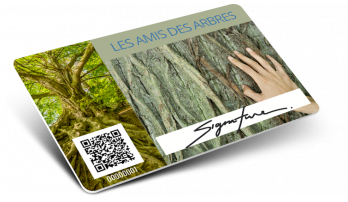 Cartes avec QR Code et numérotation et blanc d'écriture
